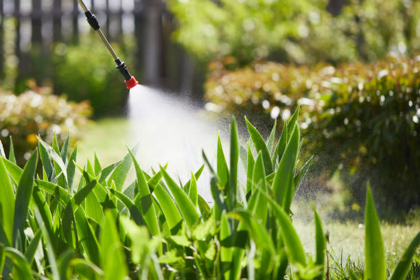 24/7 Emergency Mosquito Control experts in Tresckow, PA