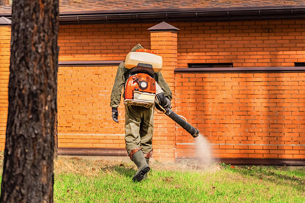 Top rated local Mosquito Control specialists in Tresckow, PA